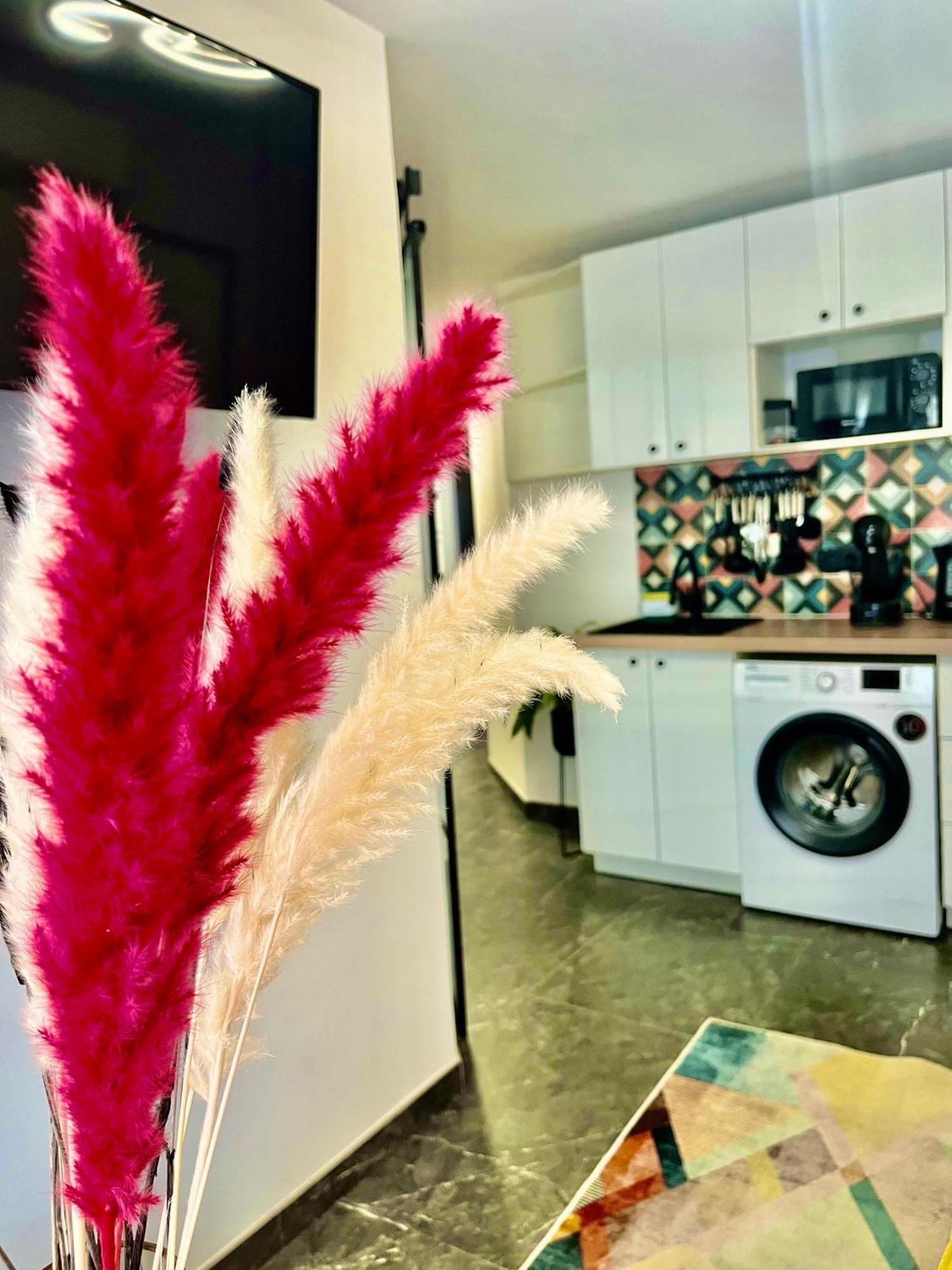 Arte Apartamento Dos Colores 阿利坎特 外观 照片